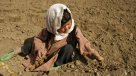 Un millón de personas son víctimas de sequía en Afganistán